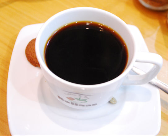 Cup Of Kopi Luwak Coffee